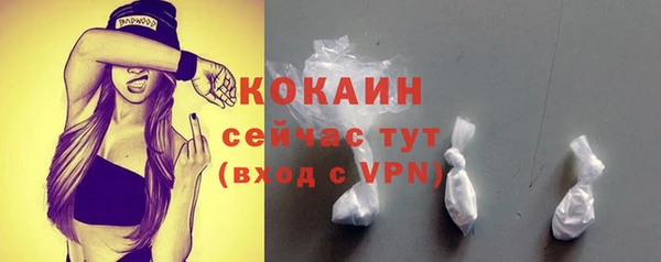 прущие грибы Ессентукская