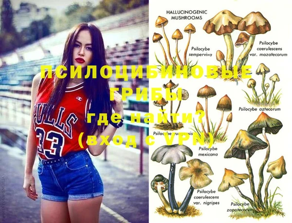 первитин Новосибирск
