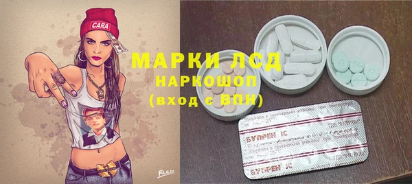 прущие грибы Ессентукская