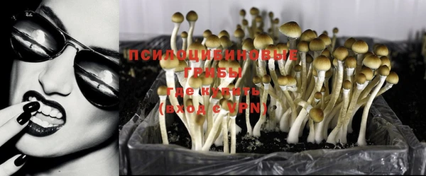 МДПВ Волосово