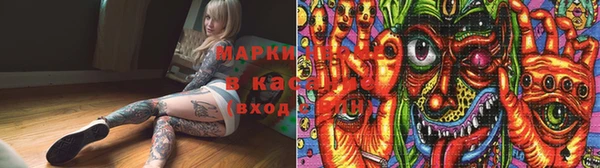ПСИЛОЦИБИНОВЫЕ ГРИБЫ Санкт-Петербург